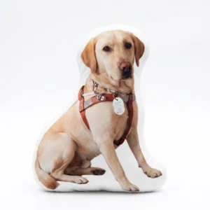 Custom dog shaped pillow made from a sitting pet photo