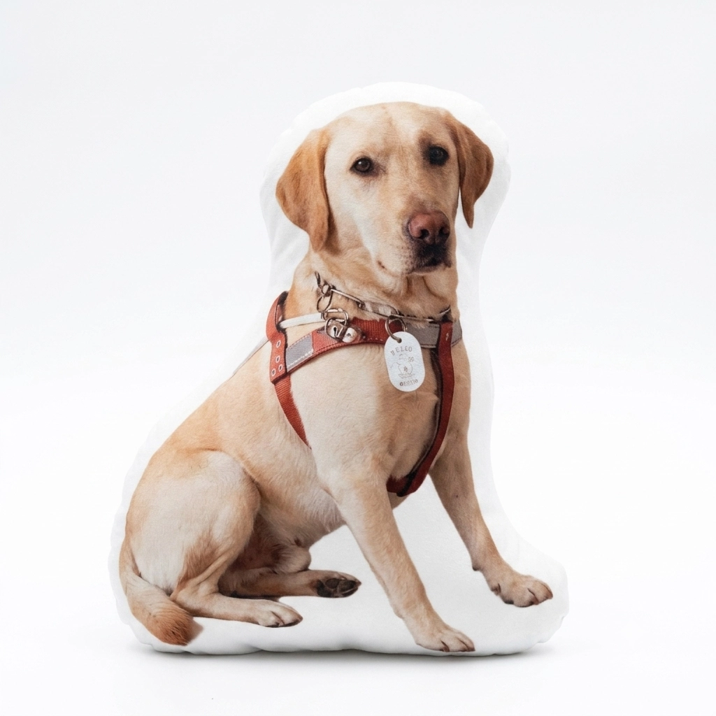 Custom dog shaped pillow made from a sitting pet photo
