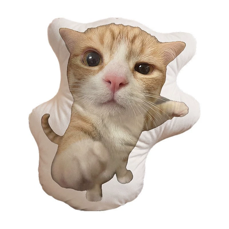 Custom orange cat shaped pillow from photo