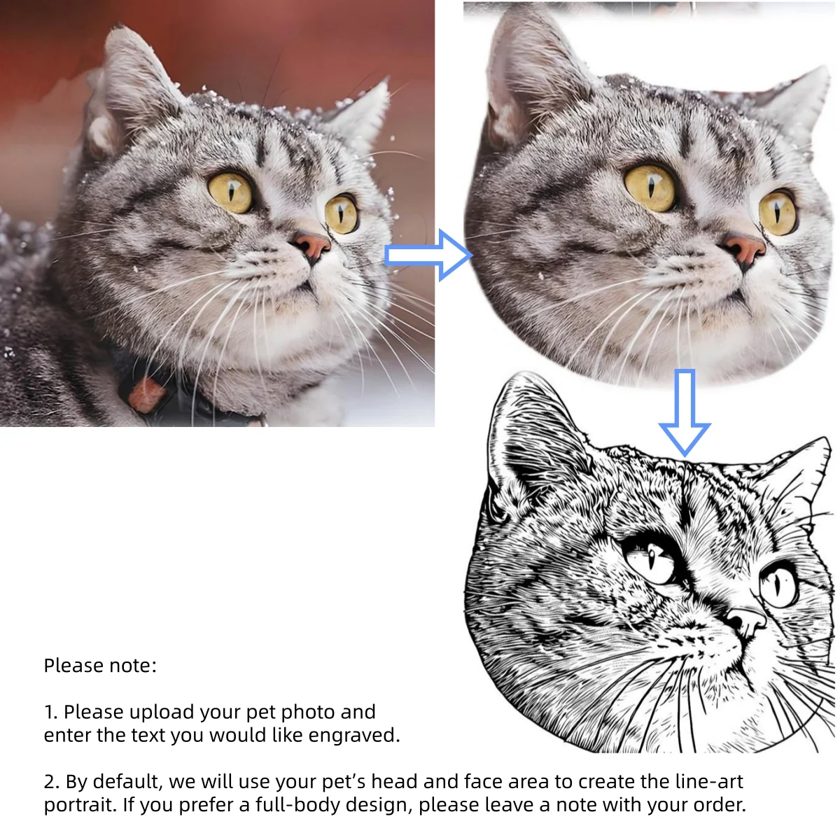 Custom pet portrait engraving process from photo to line art