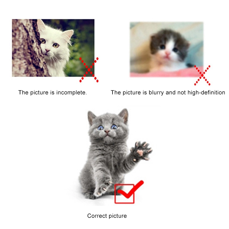 Photo upload guide for clear custom pet pillow results